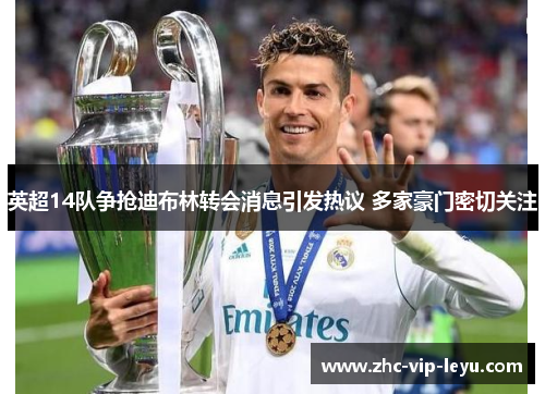 英超14队争抢迪布林转会消息引发热议 多家豪门密切关注