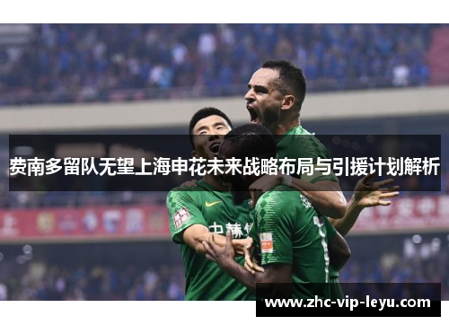 费南多留队无望上海申花未来战略布局与引援计划解析