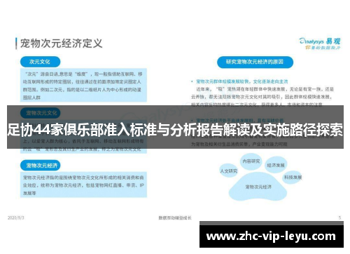 足协44家俱乐部准入标准与分析报告解读及实施路径探索